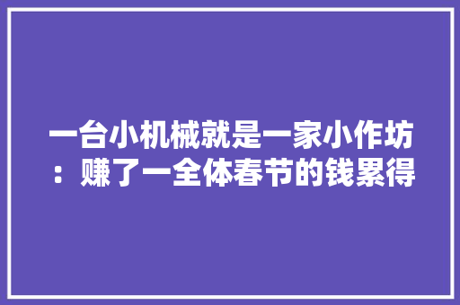 一台小机械就是一家小作坊：赚了一全体春节的钱累得我歇到初三