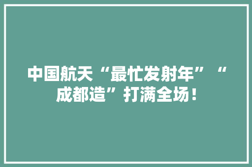 中国航天“最忙发射年”“成都造”打满全场！
