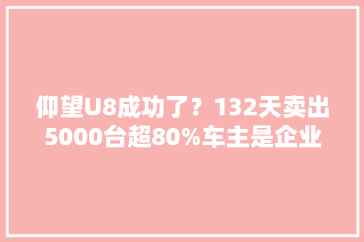 仰望U8成功了？132天卖出5000台超80%车主是企业家,比亚迪预约。