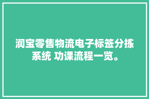 润宝零售物流电子标签分拣系统 功课流程一览。