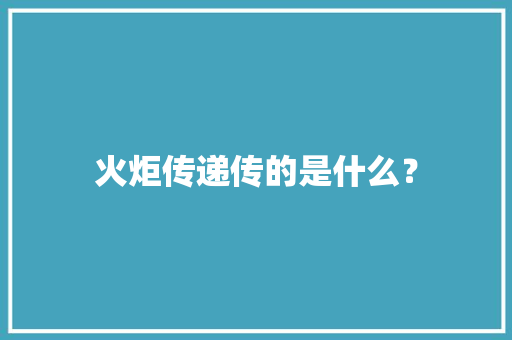 火炬传递传的是什么？,火炬之光无限。