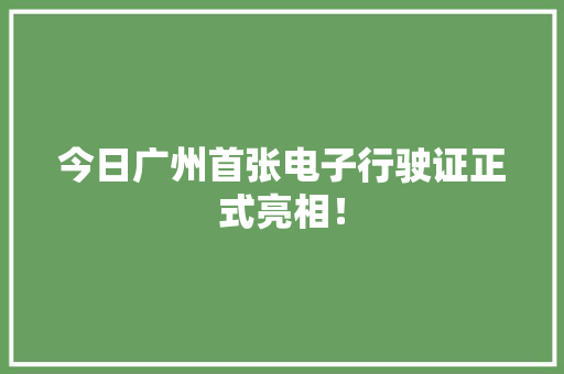 今日广州首张电子行驶证正式亮相！