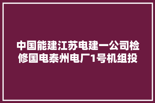 中国能建江苏电建一公司检修国电泰州电厂1号机组投运