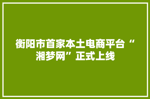 衡阳市首家本土电商平台“湘梦网”正式上线,电商是做什么的。