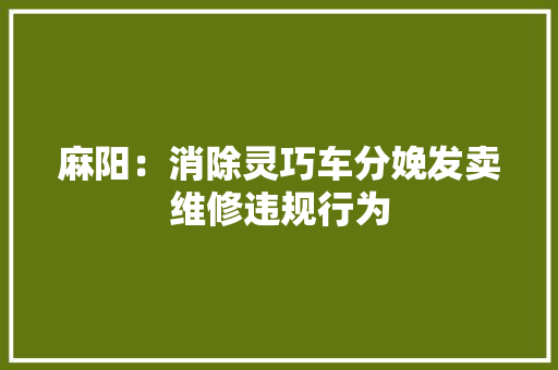 麻阳：消除灵巧车分娩发卖维修违规行为