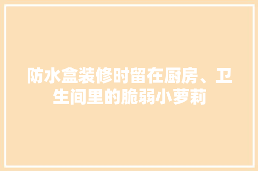 防水盒装修时留在厨房、卫生间里的脆弱小萝莉
