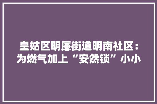 皇姑区明廉街道明南社区：为燃气加上“安然锁”小小报警器连着“大年夜平易近生”