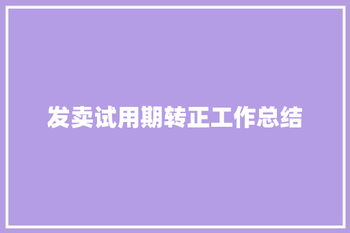 发卖试用期转正工作总结