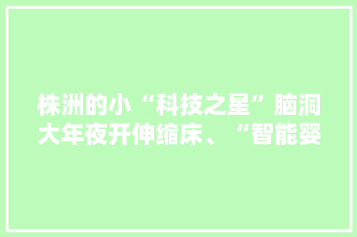 株洲的小“科技之星”脑洞大年夜开伸缩床、“智能婴儿车”都被他们设计出来 株洲的小“科技之星”脑洞大年夜开伸缩床、“智能婴儿车”都被他们设计出来 智能科技