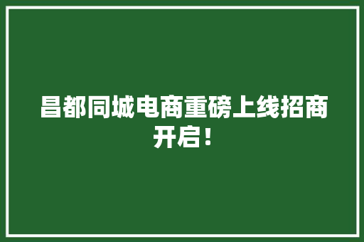 昌都同城电商重磅上线招商开启！