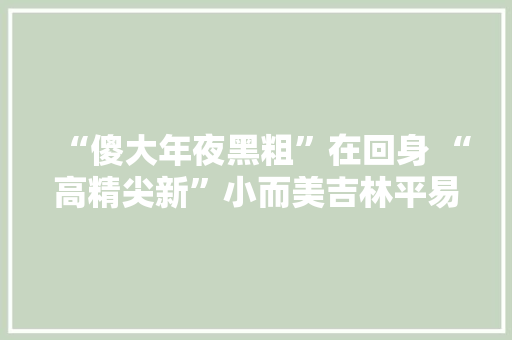 “傻大年夜黑粗”在回身 “高精尖新”小而美吉林平易近企立异“小巨人”不雅观察