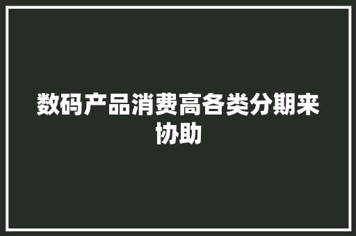 数码产品消费高各类分期来协助