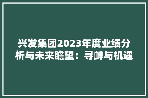 兴发集团2023年度业绩分析与未来瞻望：寻衅与机遇并存 兴发集团2023年度业绩分析与未来瞻望：寻衅与机遇并存 智能科技