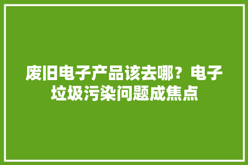 废旧电子产品该去哪？电子垃圾污染问题成焦点 废旧电子产品该去哪？电子垃圾污染问题成焦点 智能家居