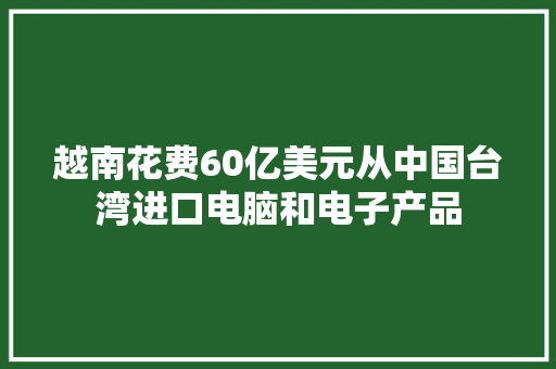 越南花费60亿美元从中国台湾进口电脑和电子产品