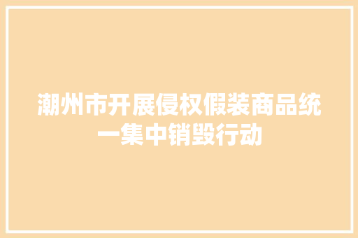 潮州市开展侵权假装商品统一集中销毁行动