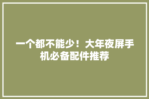 一个都不能少！大年夜屏手机必备配件推荐 一个都不能少！大年夜屏手机必备配件推荐 智能家居