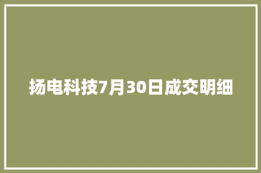 扬电科技7月30日成交明细 扬电科技7月30日成交明细 智能科技