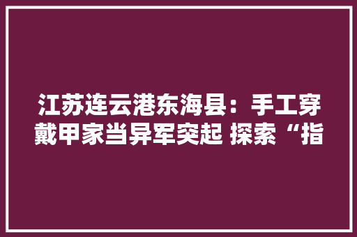 江苏连云港东海县：手工穿戴甲家当异军突起 探索“指尖”上的大年夜市场 江苏连云港东海县：手工穿戴甲家当异军突起 探索“指尖”上的大年夜市场 智能家居