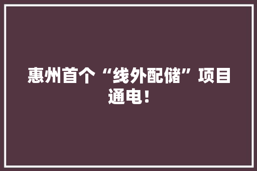 惠州首个“线外配储”项目通电！ 惠州首个“线外配储”项目通电！ 智能科技