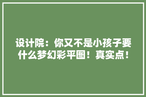 设计院：你又不是小孩子要什么梦幻彩平图！真实点！高级点 设计院：你又不是小孩子要什么梦幻彩平图！真实点！高级点 人工智能