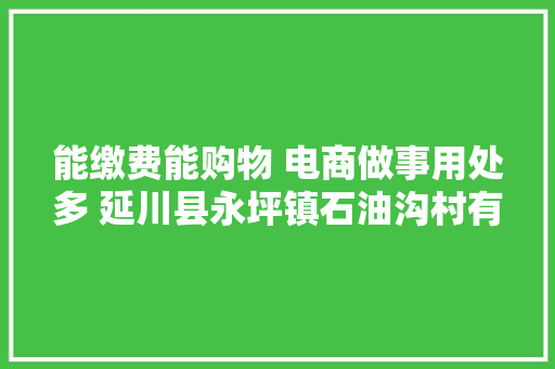 能缴费能购物 电商做事用处多 延川县永坪镇石油沟村有个电子商务站 能缴费能购物 电商做事用处多 延川县永坪镇石油沟村有个电子商务站 人工智能