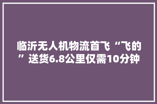 临沂无人机物流首飞“飞的”送货6.8公里仅需10分钟 临沂无人机物流首飞“飞的”送货6.8公里仅需10分钟 人工智能