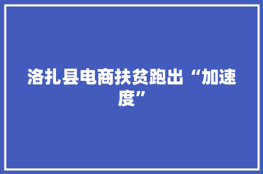 洛扎县电商扶贫跑出“加速度” 洛扎县电商扶贫跑出“加速度” 人工智能