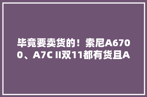 毕竟要卖货的！索尼A6700、A7C II双11都有货且A6700不用加价 毕竟要卖货的！索尼A6700、A7C II双11都有货且A6700不用加价 人工智能