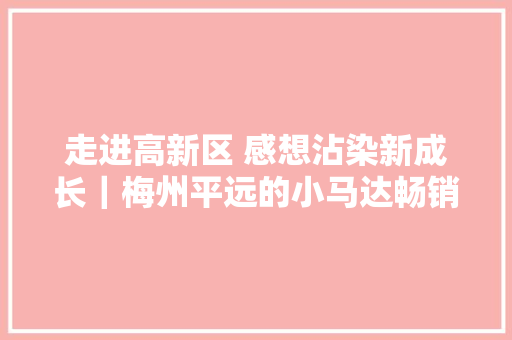 走进高新区 感想沾染新成长｜梅州平远的小马达畅销“一带一路”国家背后窍门是什么？ 走进高新区 感想沾染新成长｜梅州平远的小马达畅销“一带一路”国家背后窍门是什么？ 人工智能