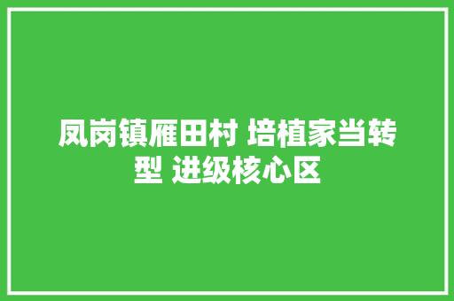 凤岗镇雁田村 培植家当转型 进级核心区 凤岗镇雁田村 培植家当转型 进级核心区 互联通信