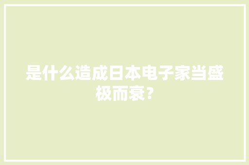 是什么造成日本电子家当盛极而衰？ 是什么造成日本电子家当盛极而衰？ 互联通信