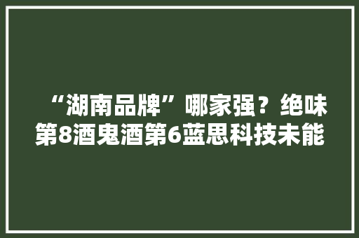 “湖南品牌”哪家强？绝味第8酒鬼酒第6蓝思科技未能进前三