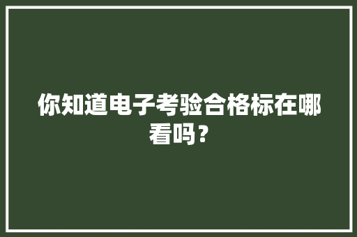 你知道电子考验合格标在哪看吗？ 你知道电子考验合格标在哪看吗？ 智能家居