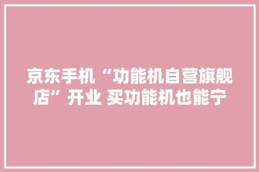 京东手机“功能机自营旗舰店”开业 买功能机也能宁神了 京东手机“功能机自营旗舰店”开业 买功能机也能宁神了 智能家居