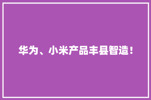 华为、小米产品丰县智造！ 华为、小米产品丰县智造！ 互联通信