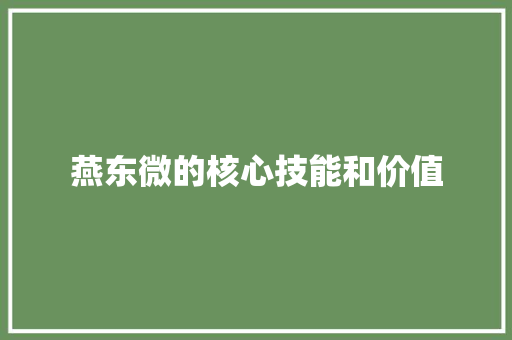 燕东微的核心技能和价值 燕东微的核心技能和价值 人工智能