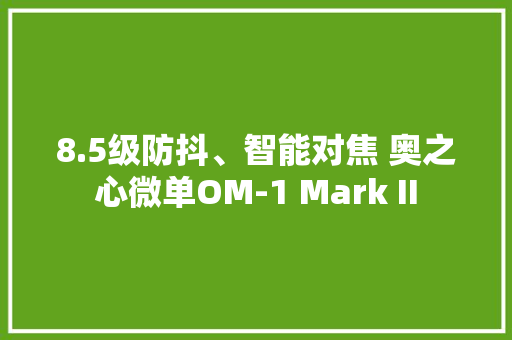 8.5级防抖、智能对焦 奥之心微单OM-1 Mark II 8.5级防抖、智能对焦 奥之心微单OM-1 Mark II 智能科技