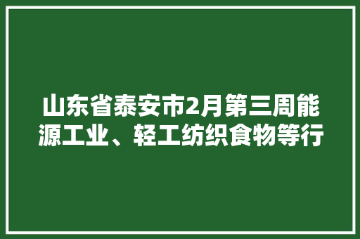 山东省泰安市2月第三周能源工业、轻工纺织食物等行业项目汇总