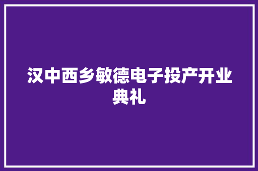 汉中西乡敏德电子投产开业典礼