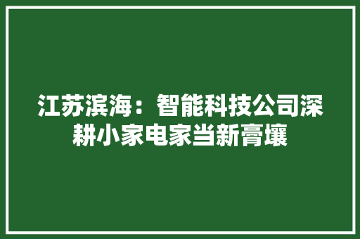江苏滨海：智能科技公司深耕小家电家当新膏壤