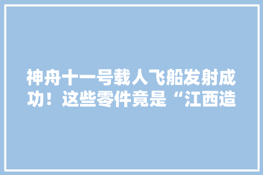 神舟十一号载人飞船发射成功！这些零件竟是“江西造”！