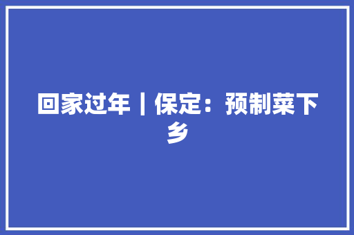 回家过年｜保定：预制菜下乡 回家过年｜保定：预制菜下乡 互联通信
