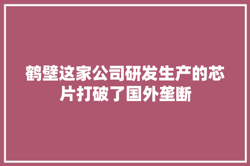 鹤壁这家公司研发生产的芯片打破了国外垄断