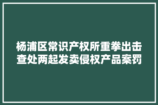 杨浦区常识产权所重拳出击查处两起发卖侵权产品案罚款约17万余元