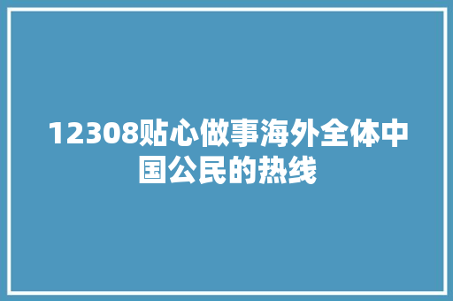 12308贴心做事海外全体中国公民的热线 12308贴心做事海外全体中国公民的热线 智能科技