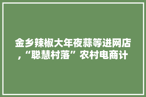 金乡辣椒大年夜蒜等进网店,“聪慧村落”农村电商计划年内铺开 金乡辣椒大年夜蒜等进网店,“聪慧村落”农村电商计划年内铺开 互联通信