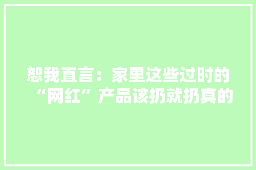 恕我直言：家里这些过时的“网红”产品该扔就扔真的不用心疼 恕我直言：家里这些过时的“网红”产品该扔就扔真的不用心疼 智能家居