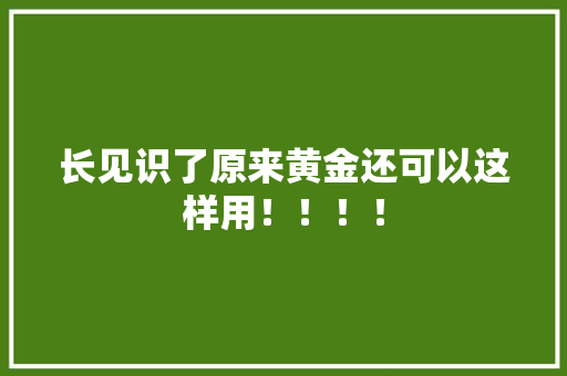 长见识了原来黄金还可以这样用！！！！ 长见识了原来黄金还可以这样用！！！！ 人工智能