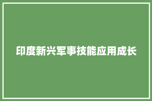 印度新兴军事技能应用成长 印度新兴军事技能应用成长 人工智能